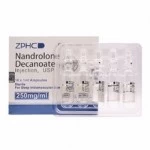 Nandrolone Decanoate (ZPHC NEW) 10 ампул - 250мг\мл