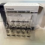 TESTOSTERONE E (ABURAIHAN, original) 10 ампул - 250мг\мл