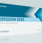 TESTOZON E250 (Horizon) 10 ампул - 250мг/мл