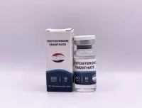 Testosterone Enanthate (HZPH) 10 мл - 250мг/мл