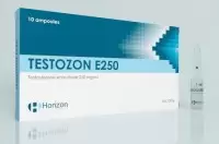 TESTOZON E250 (Horizon) 10 ампул - 250мг/мл