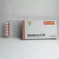 Testosterone E 250 (Olymp Labs) 10 ампул -  250мг\мл